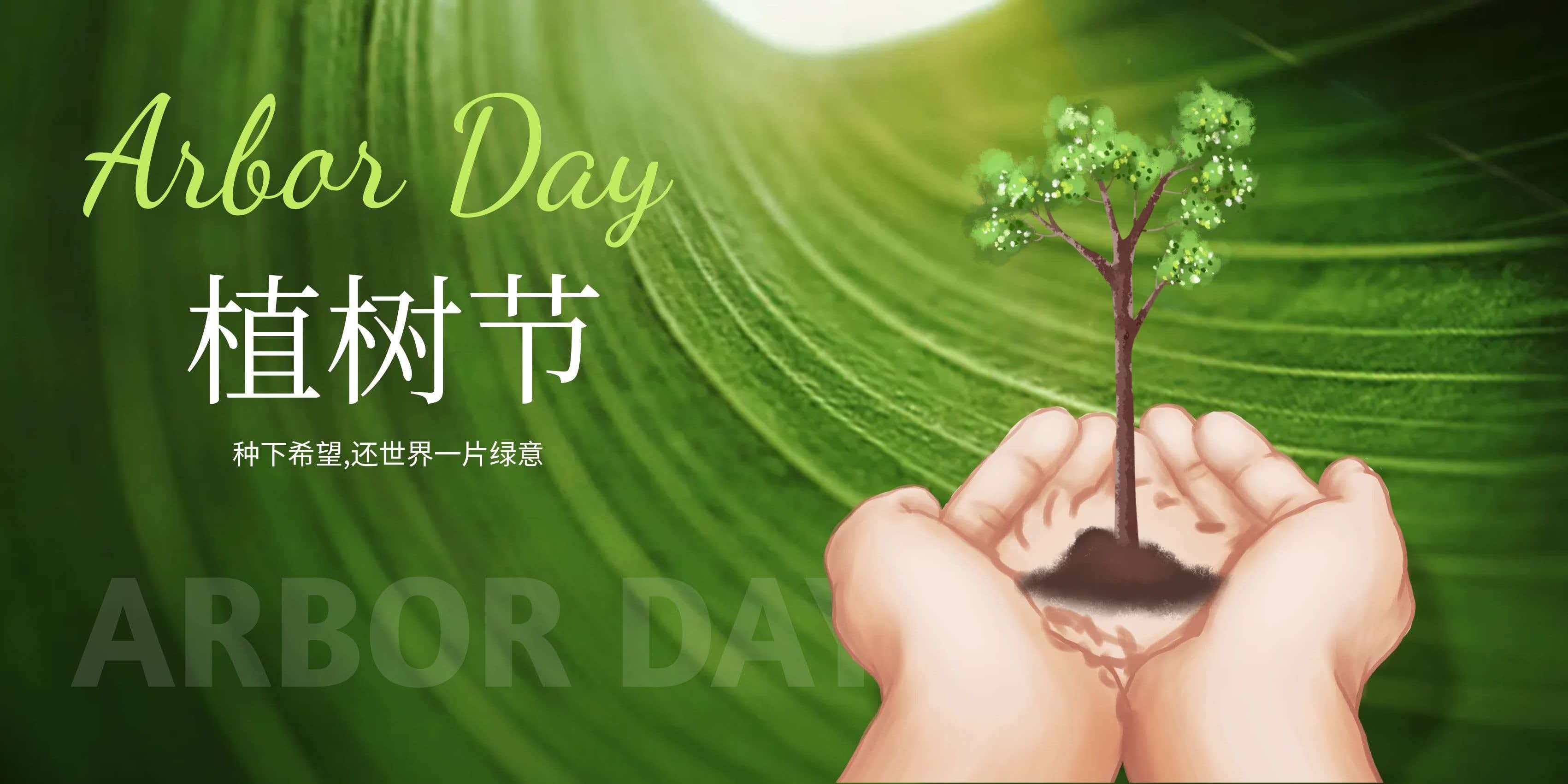 春风送暖，万物勃发！(图1)